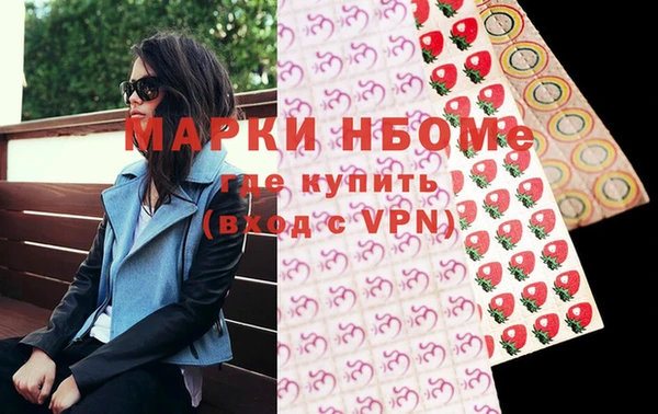 индика Зеленокумск