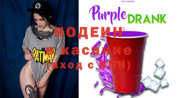индика Зеленокумск