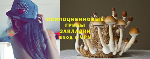 a pvp Верея