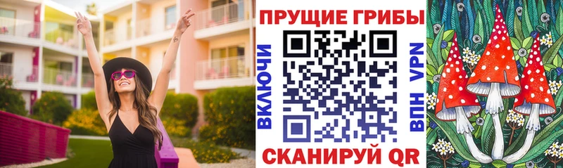 Галлюциногенные грибы прущие грибы  Видное 